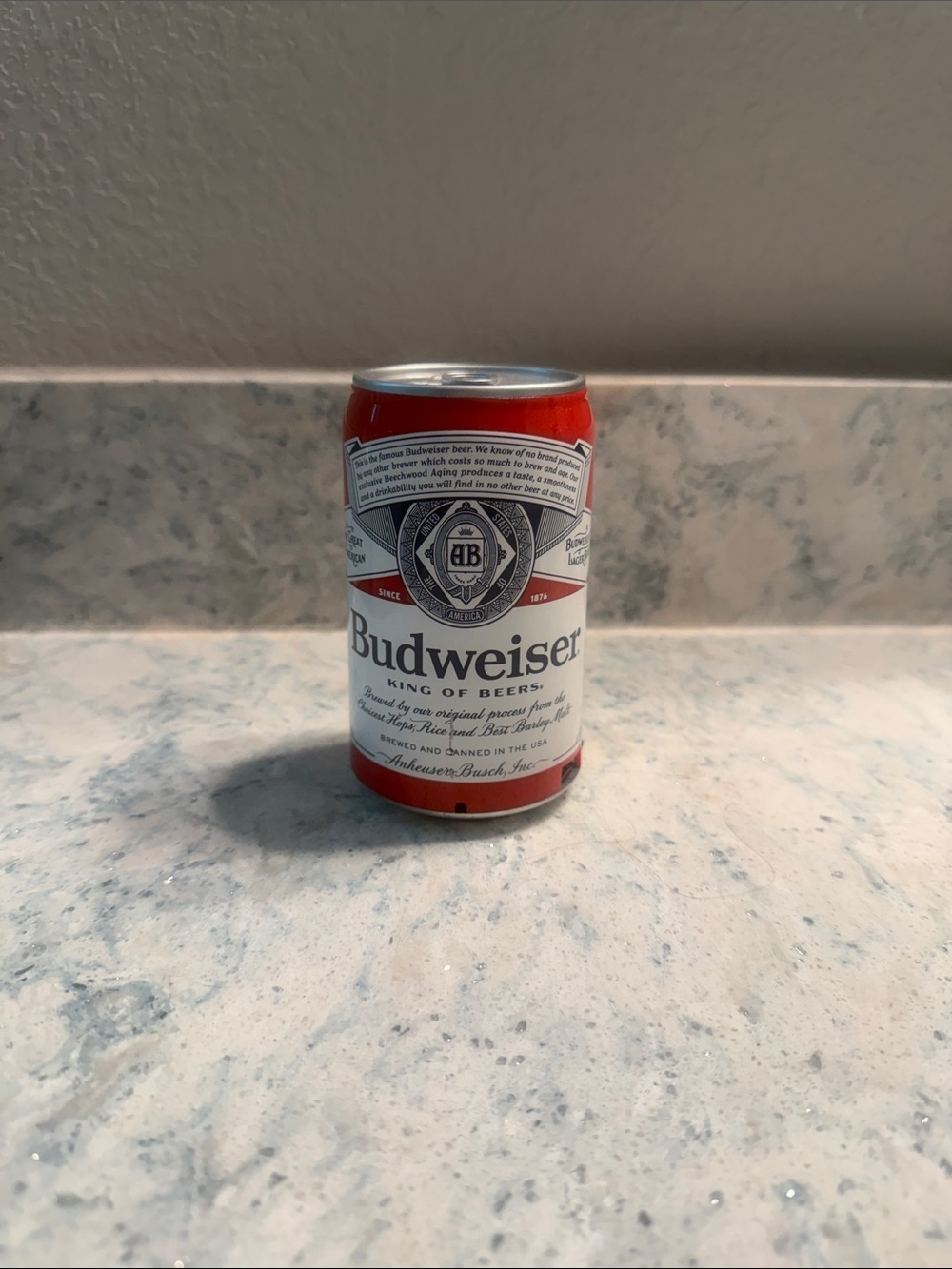 Budweiser Beer Can Speaker
